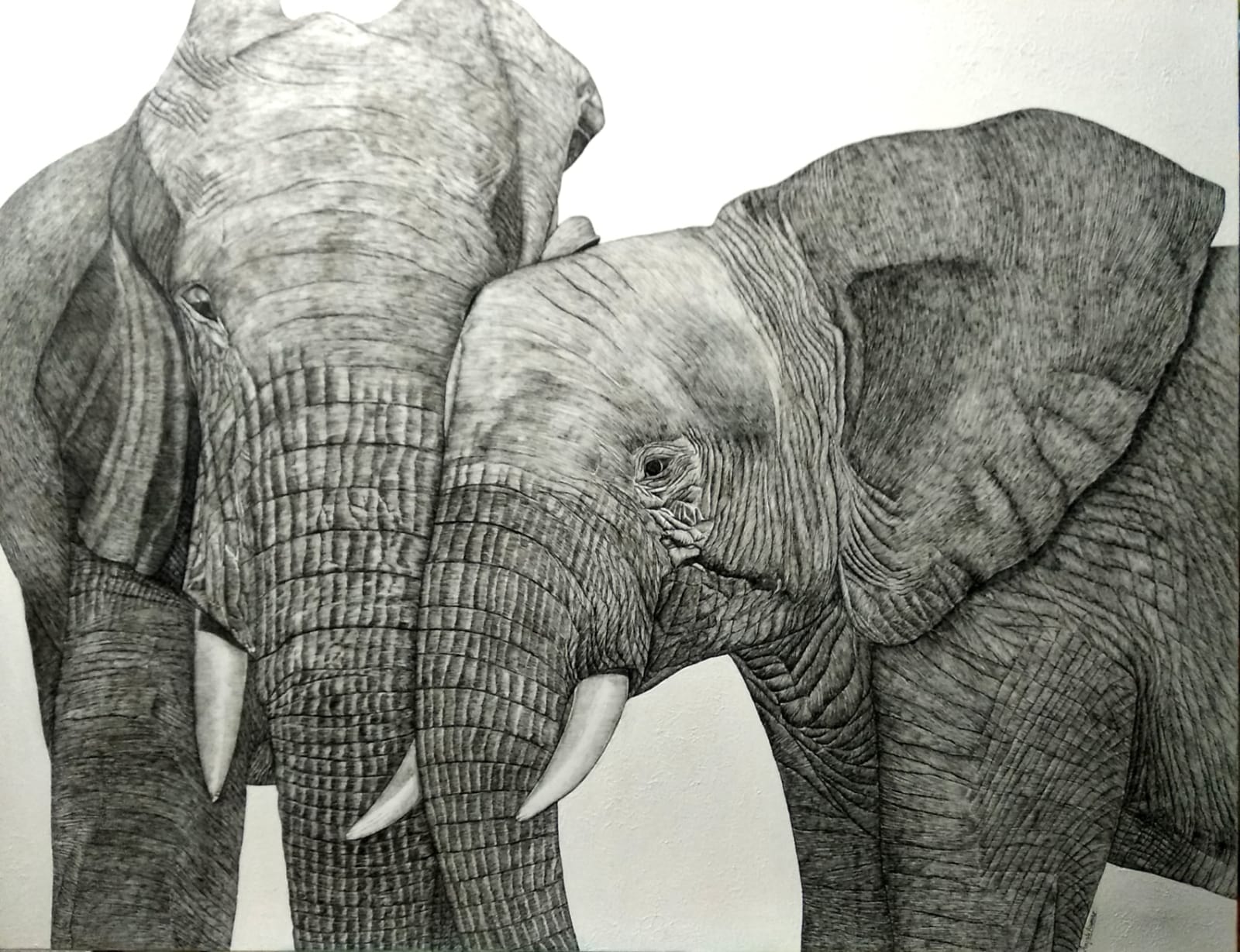Wildlife Art